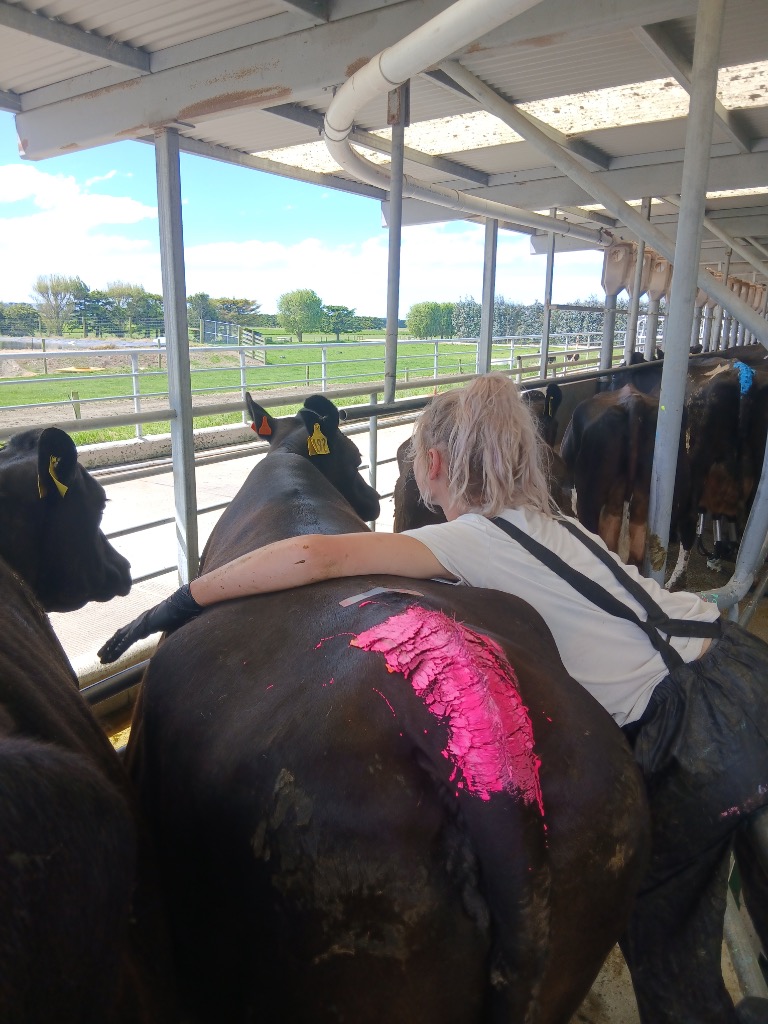 Ag Assist - Angelique Van den Berg