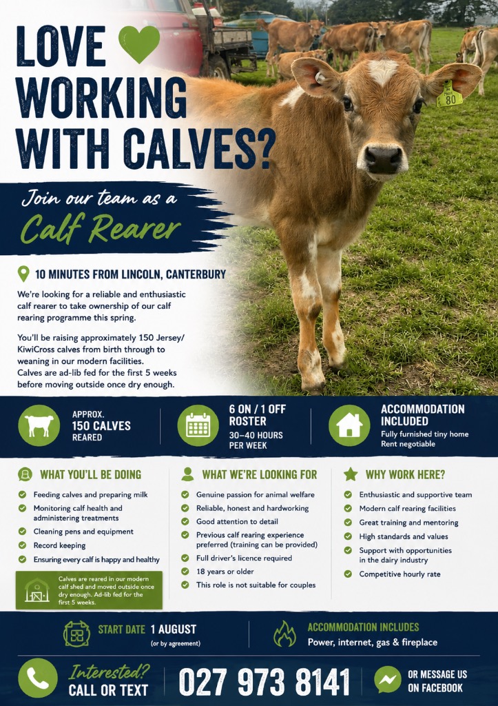 Calf Rearer Needed: Tend 150 Calves Near Lincoln, Canterbury