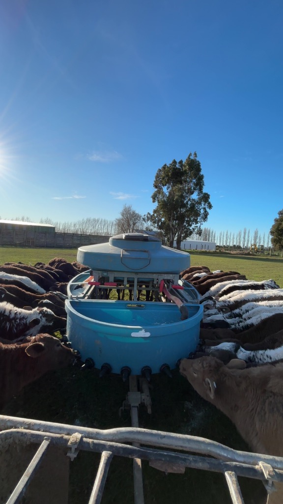 Ag Assist - Brooke Fitzgerald