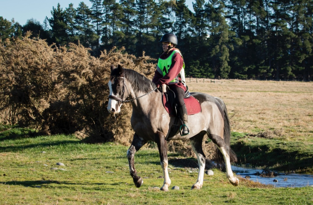 Ag Assist - Brooke Fitzgerald