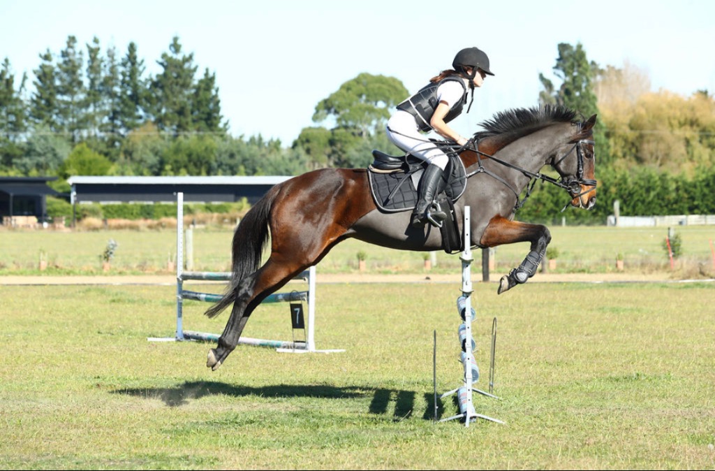 Ag Assist - Brooke Fitzgerald