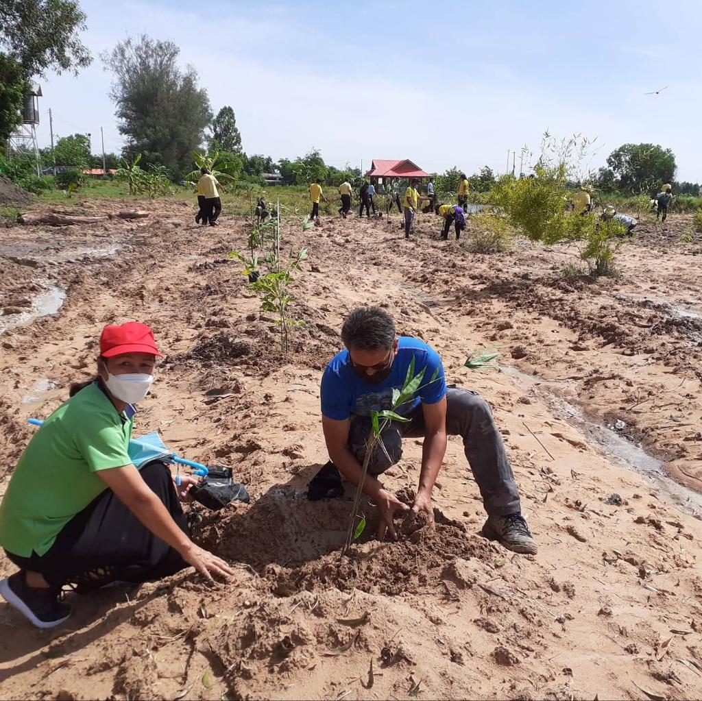 Ag Assist - Jasper Jr Doble