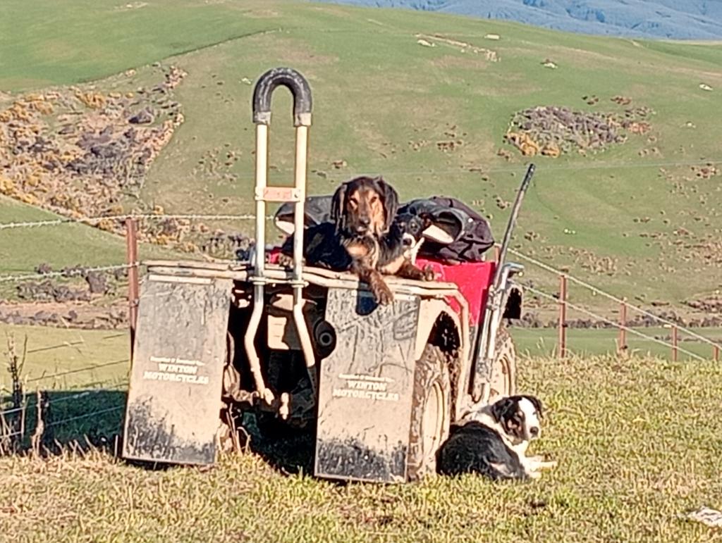 Ag Assist - Laura Henderson