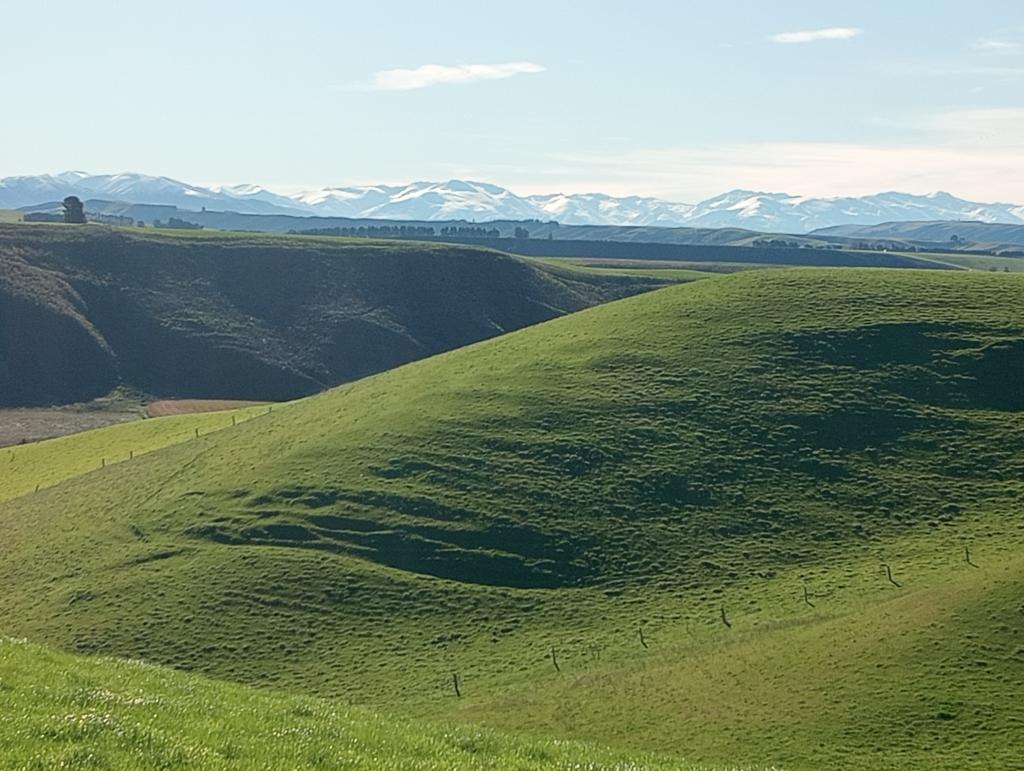 Ag Assist - Laura Henderson