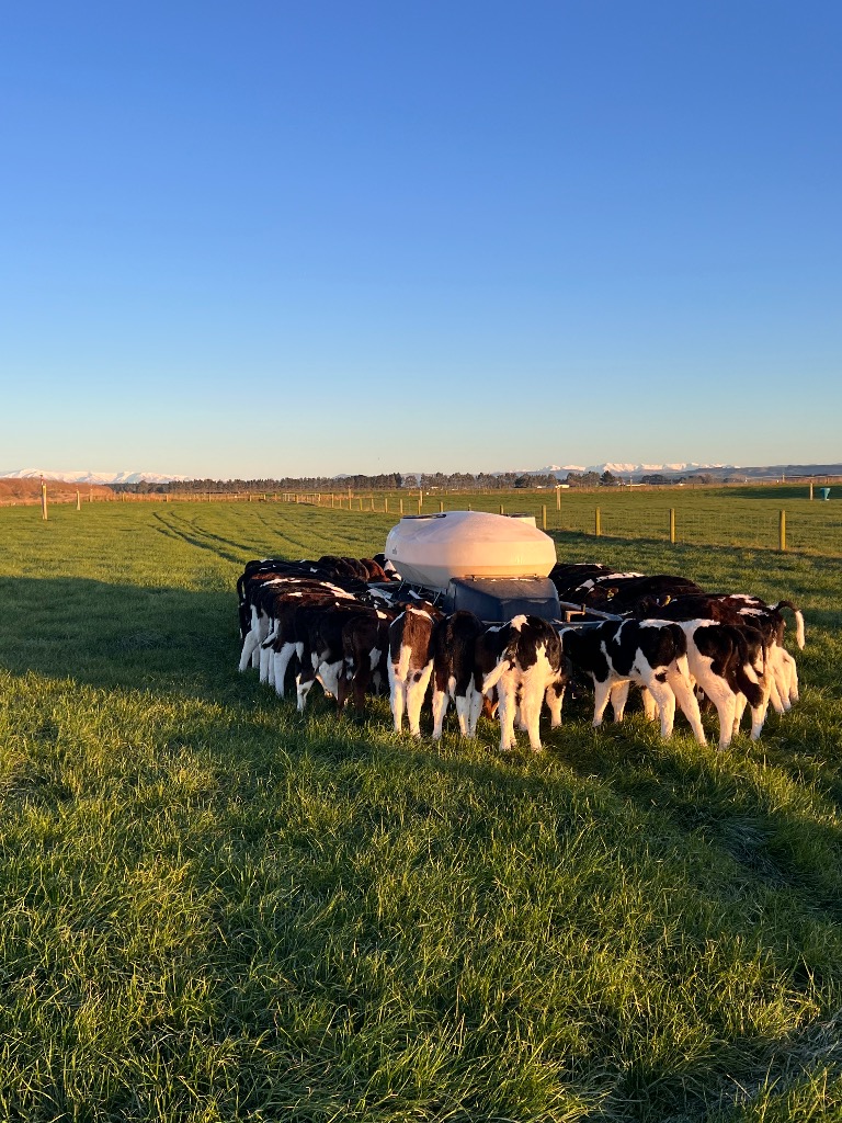 Ag Assist - Lukas Chalmers - Chalmers Dairies