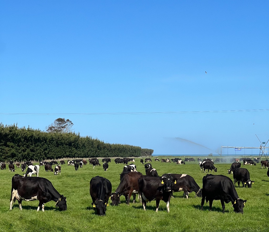 Ag Assist - Lukas Chalmers - Chalmers Dairies