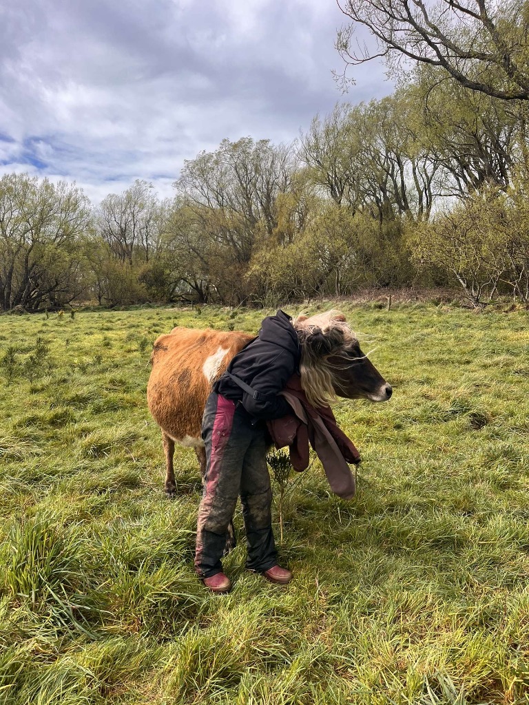 Ag Assist - Thea Pascoe