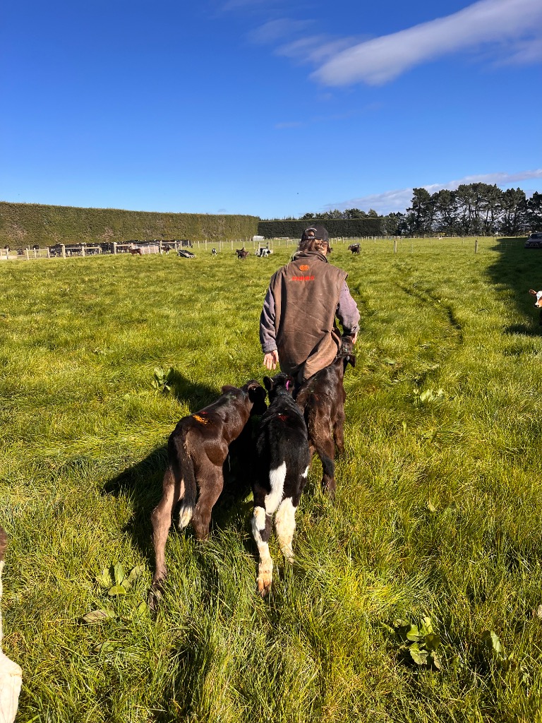 Ag Assist - Thea Pascoe