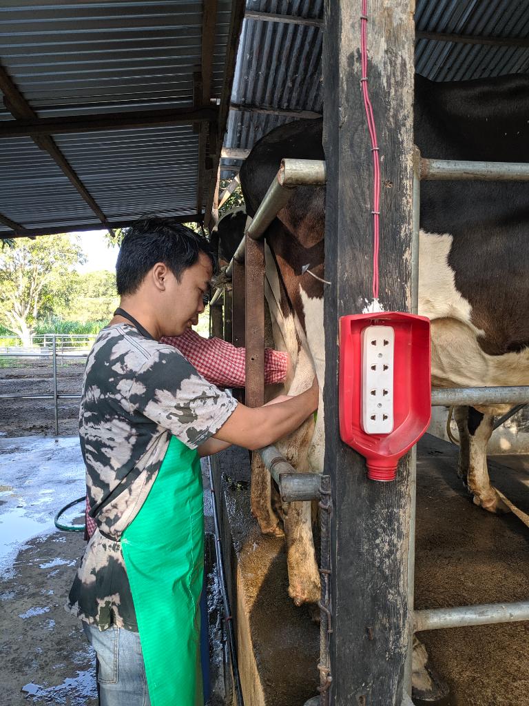 Ag Assist - Cairson Langoyan