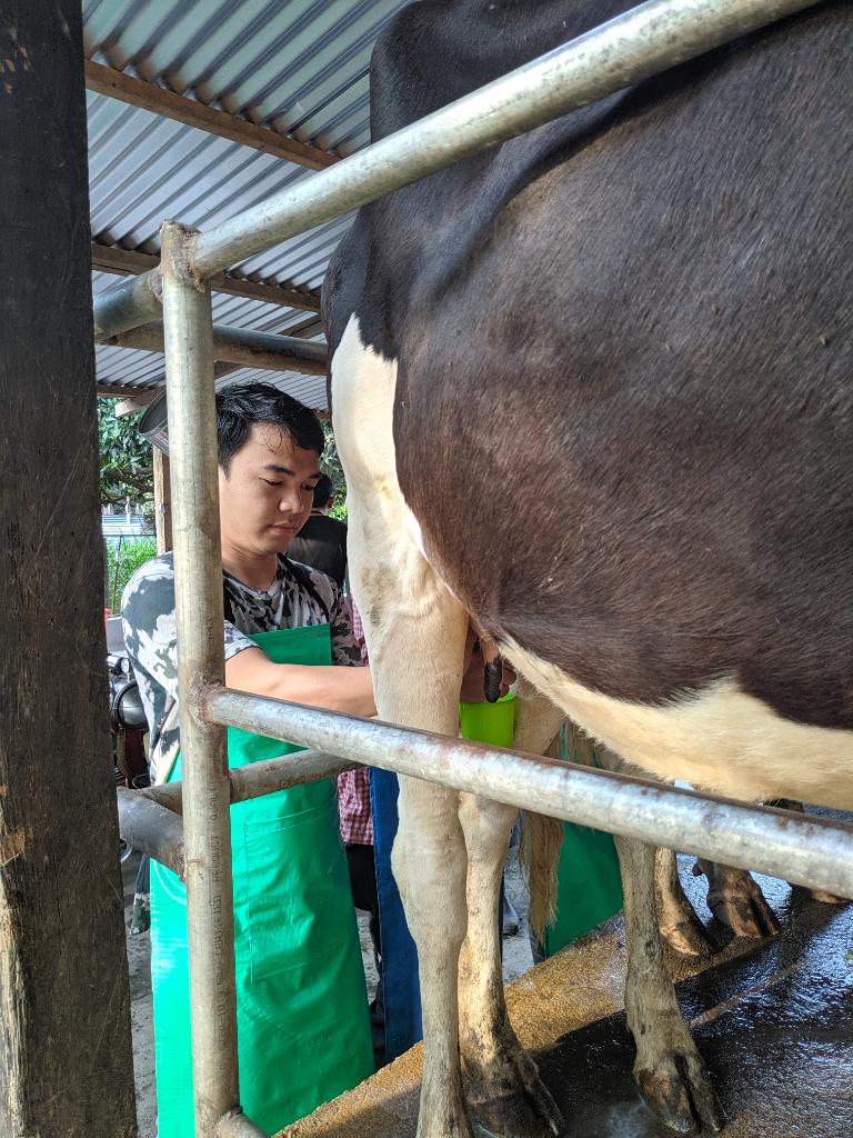 Ag Assist - Cairson Langoyan