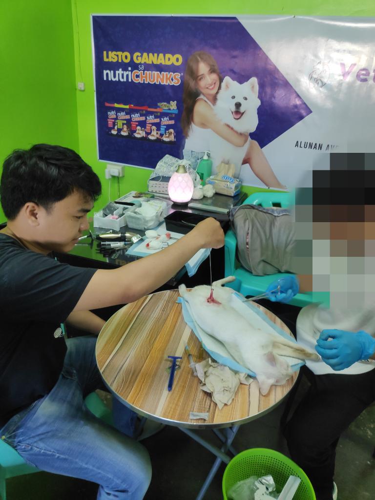 Ag Assist - Cairson Langoyan