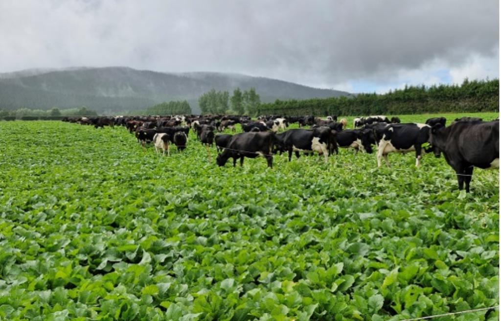 Dairy Farm Instructor - Department of Corrections