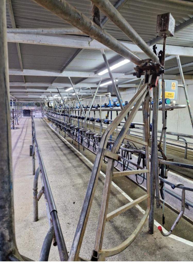 Ag Assist - Dairy Farm Instructor - Department of Corrections