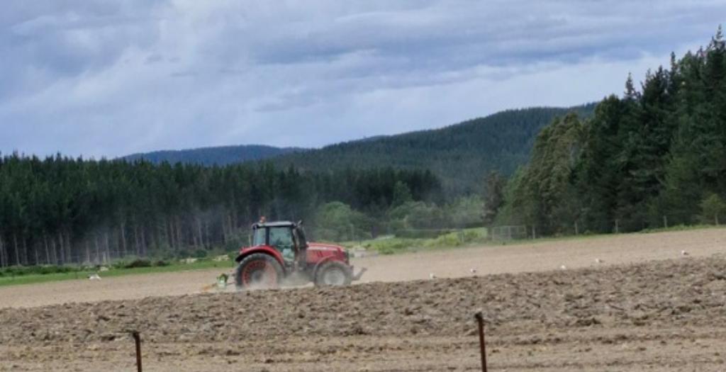 Ag Assist - Dairy Farm Instructor - Department of Corrections