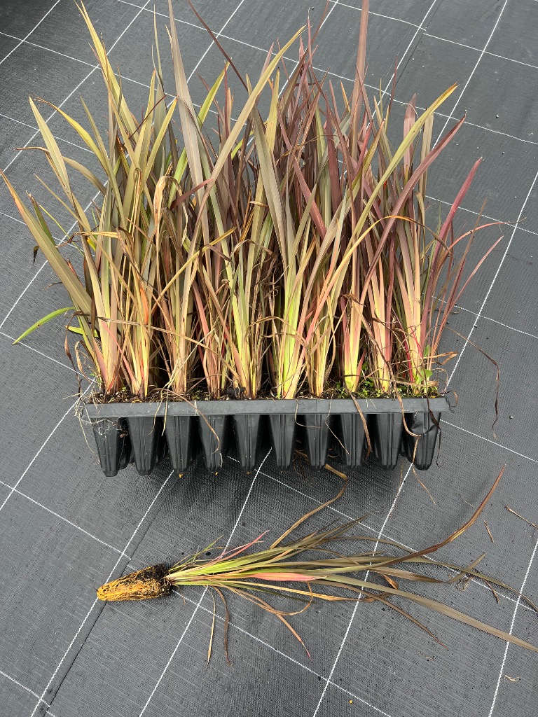 Ag Assist - Native plants