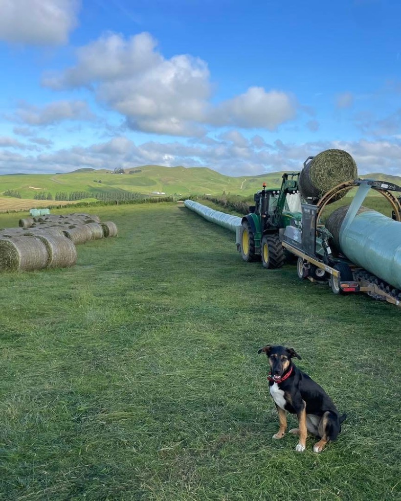 Ag Assist - Chalmers Ag Services