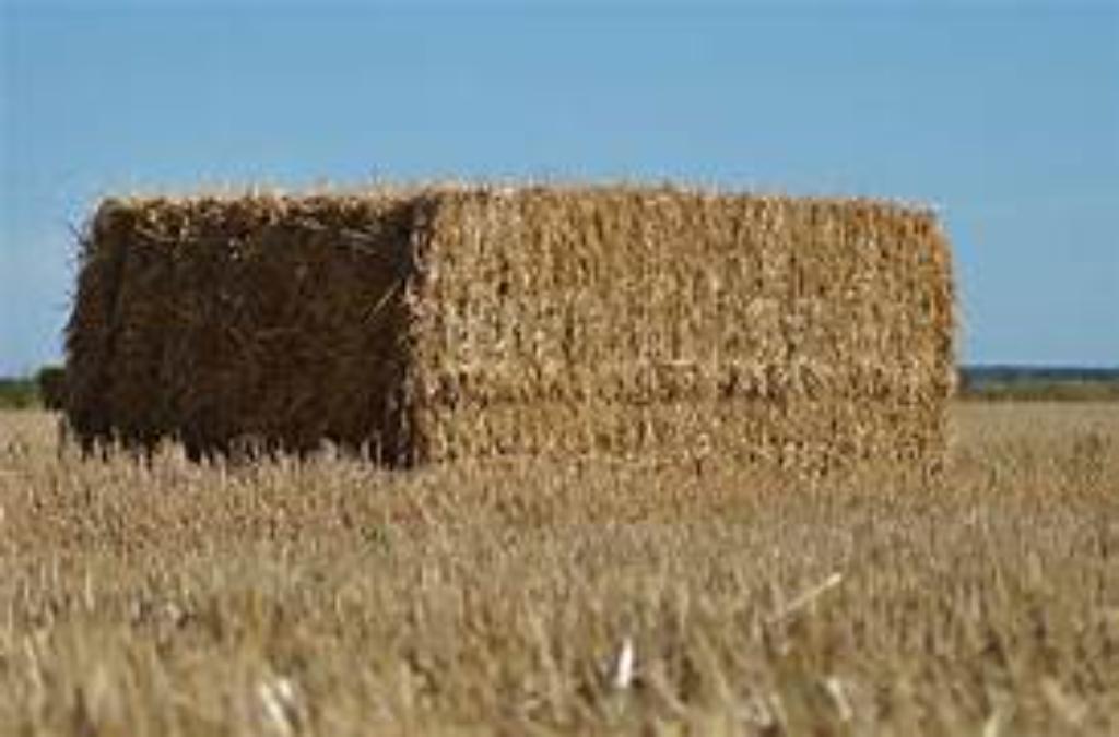 Wanted - Barley/Wheat straw