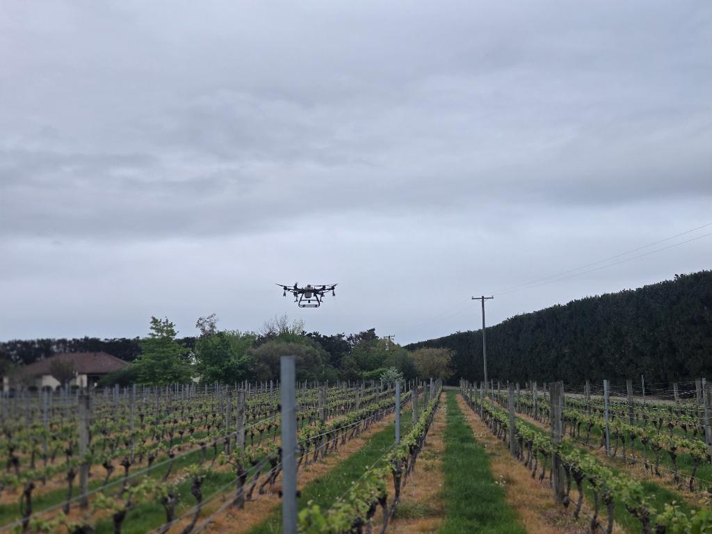 Ag Assist - Drone Ag  Spraying