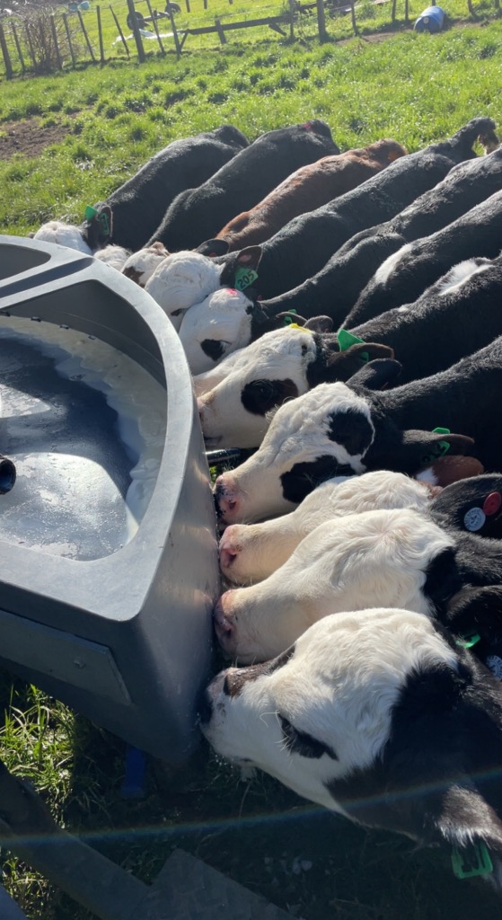 Ag Assist - Lauren A