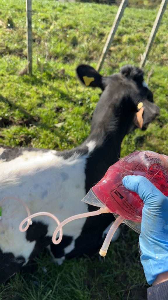 Ag Assist - Lauren A