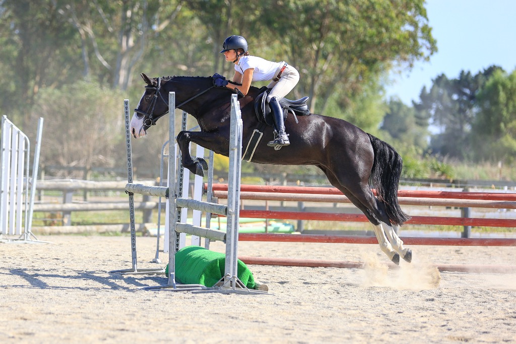 Ag Assist - Lauren A