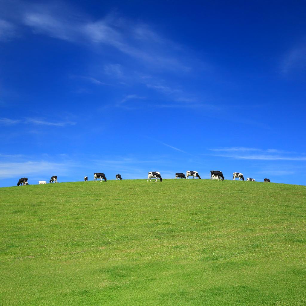 Fortuna Group - Dairy Assistant (.5FTE)