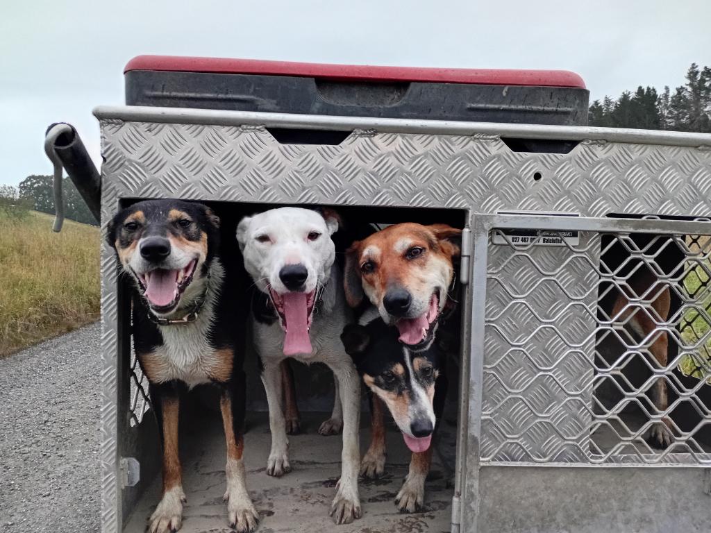 Ag Assist - Anna Peddie