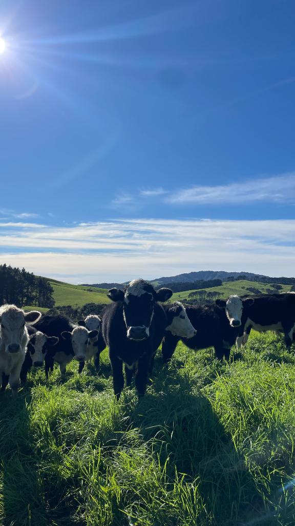 Ag Assist - Tom Matteucci