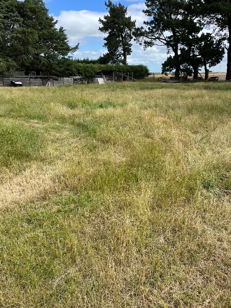 Ag Assist - Town & Rural Maintenance Limited