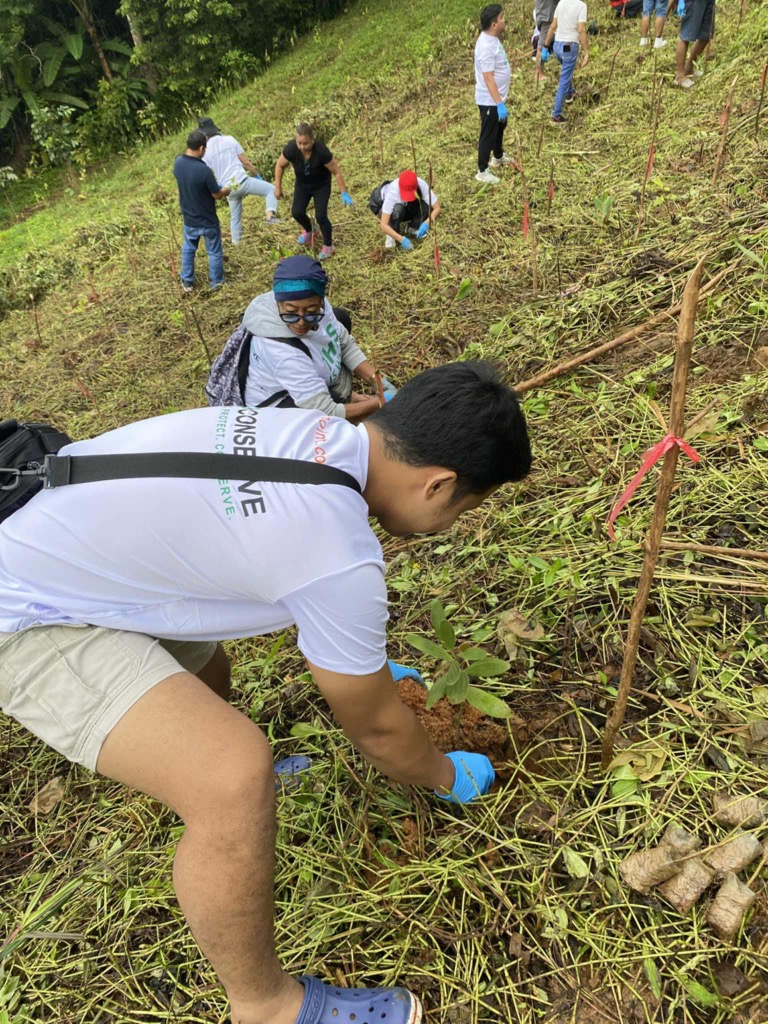 Ag Assist - Devie Jun  Bravo