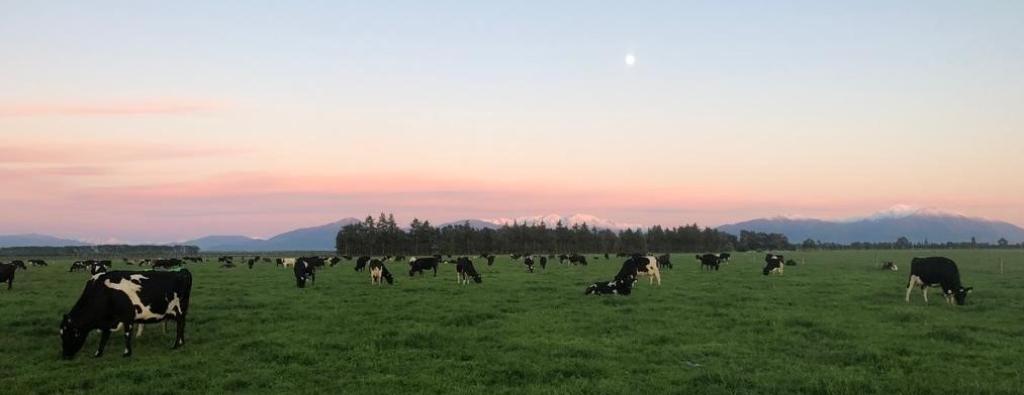 Permanent or Seasonal Dairy Roles