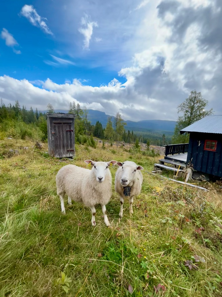 Ag Assist - Elie Garnes