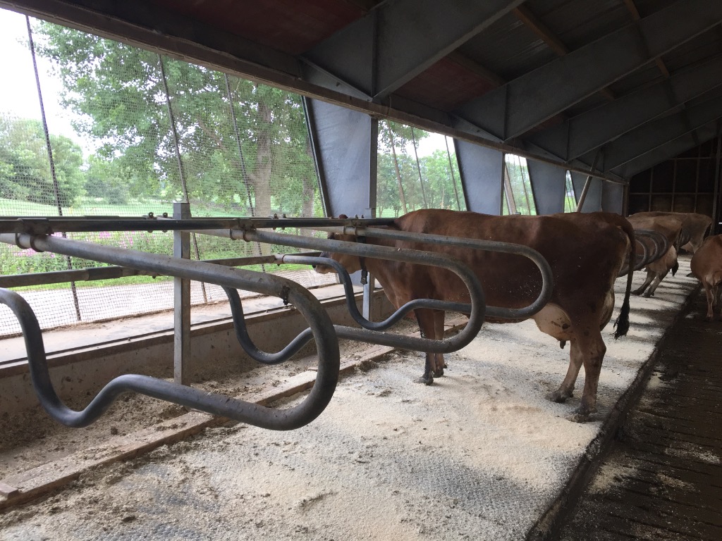 Ag Assist - Elie Garnes