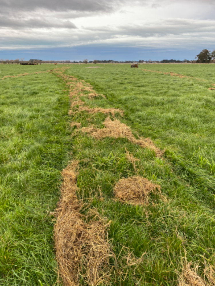 Ag Assist - Giltrap bale buggy