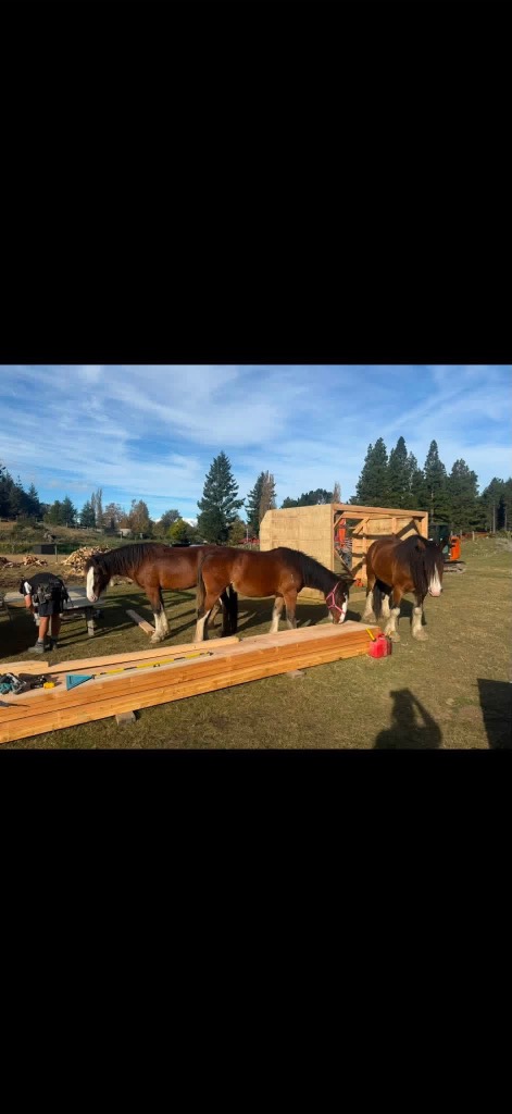 Ag Assist - Garden maintenance and experienced horse handler couple wanted