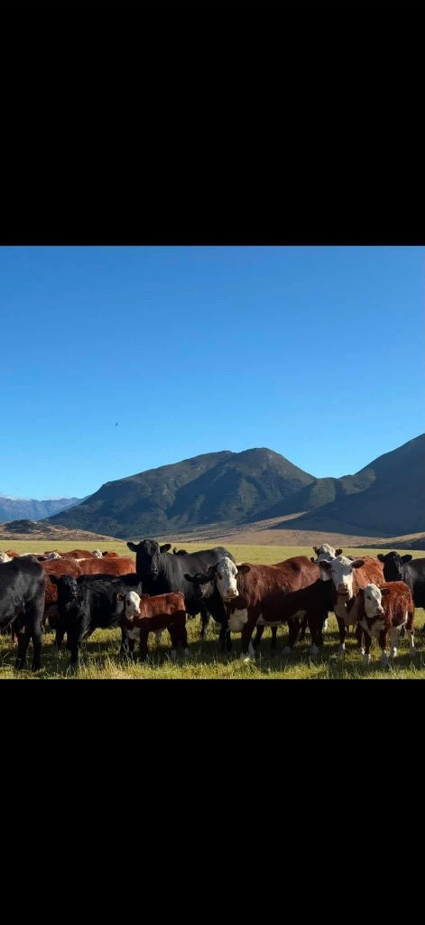 Ag Assist - Garden maintenance and experienced horse handler couple wanted