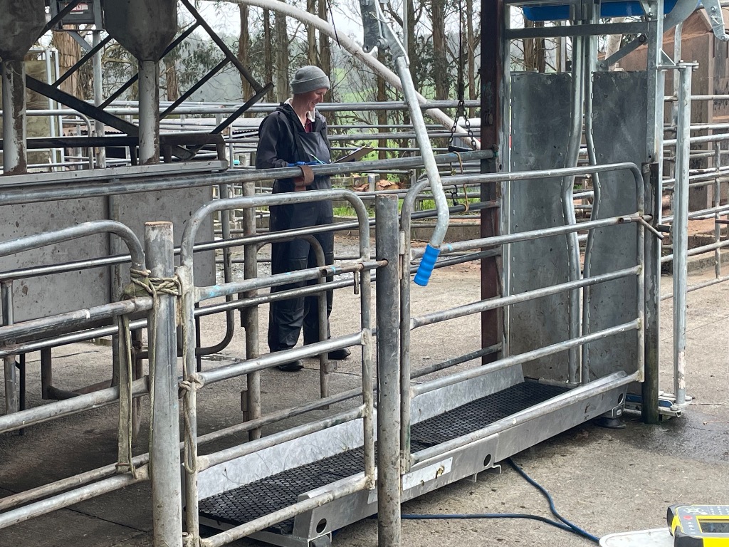 Ag Assist - Measured Livestock