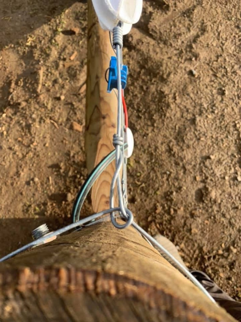 Looking for a yard