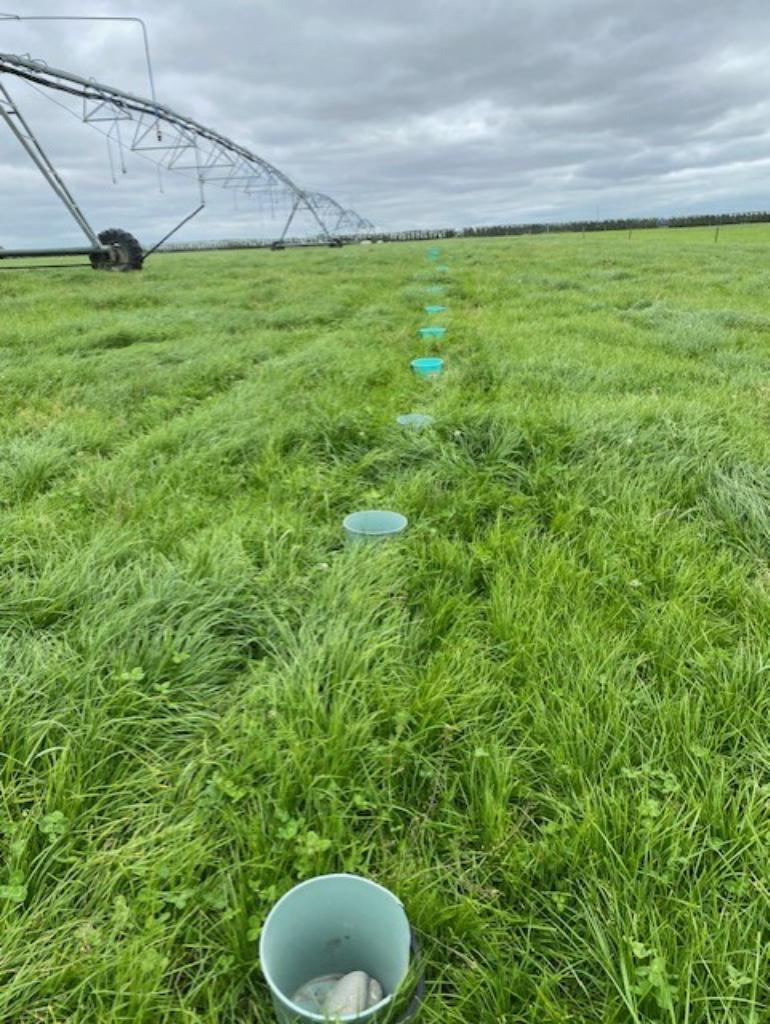 Ag Assist - Sharma Connolly