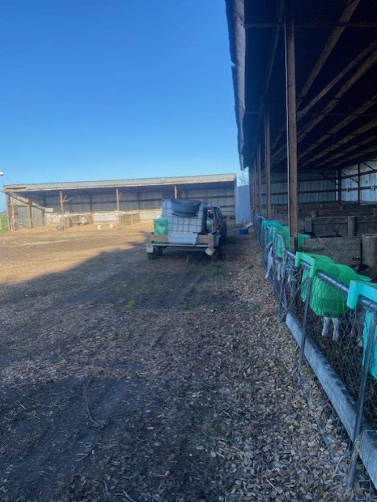 Ag Assist - Sharma Connolly