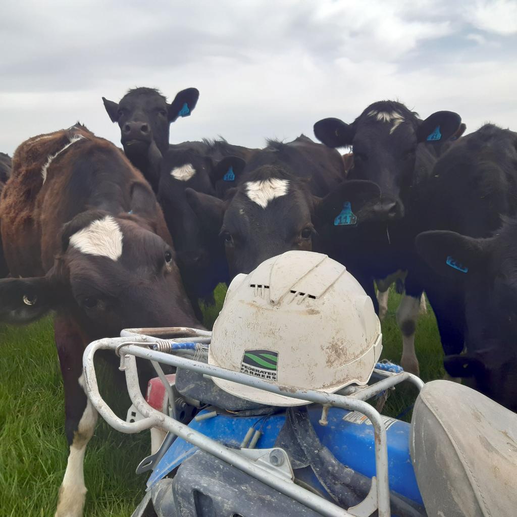 Fixed term farm assistant