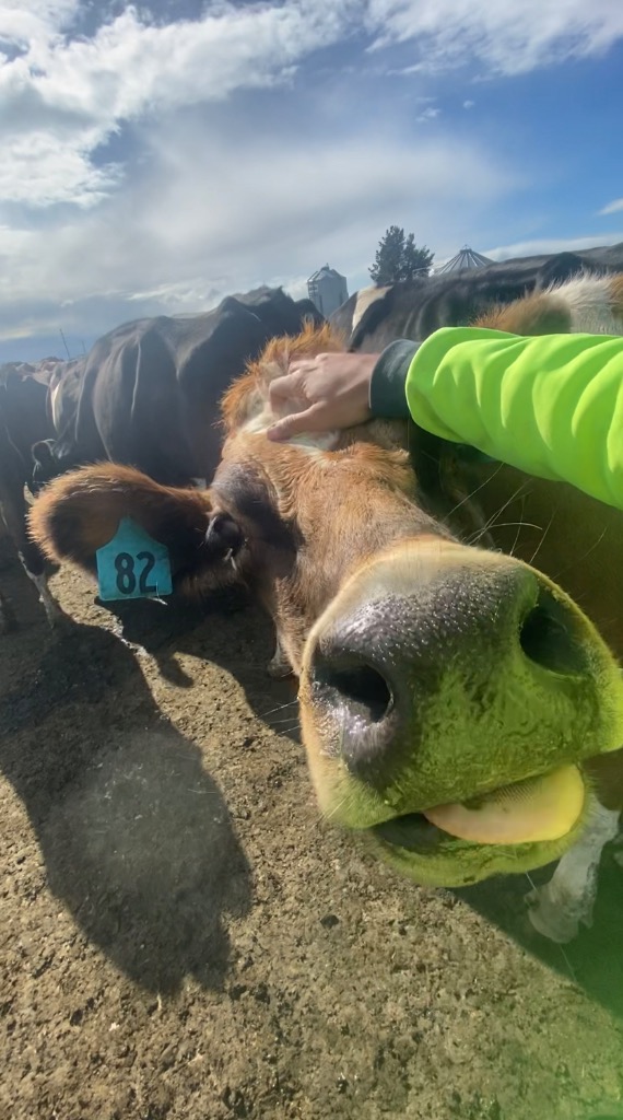 Short Term Farm Assistant Position