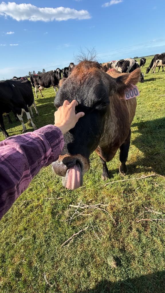 Ag Assist - Short Term Farm Assistant Position