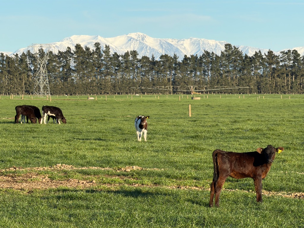 Ag Assist - Short Term Farm Assistant Position