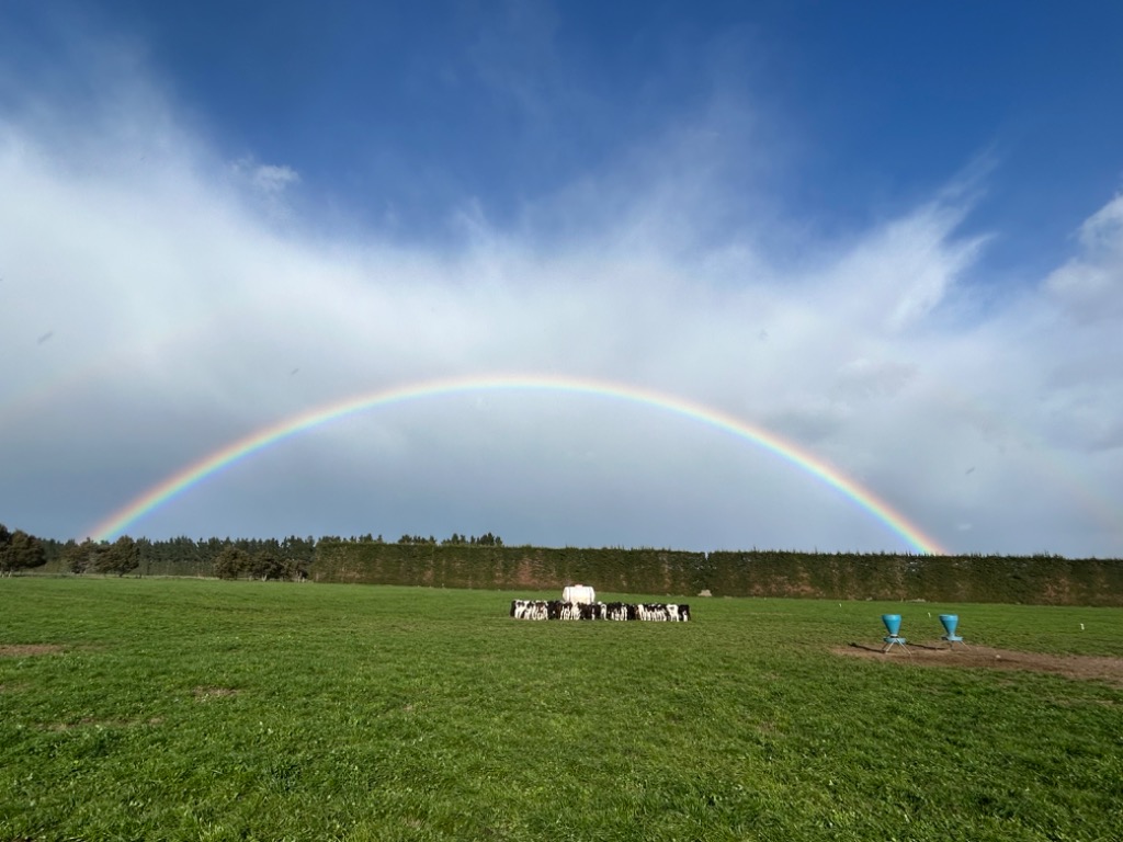 Ag Assist - Piper Wilson