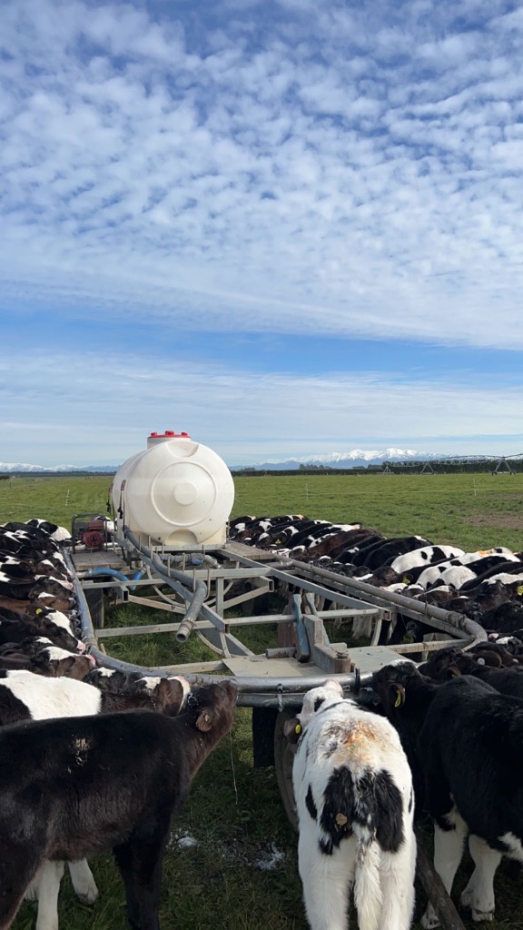 Ag Assist - Piper Wilson