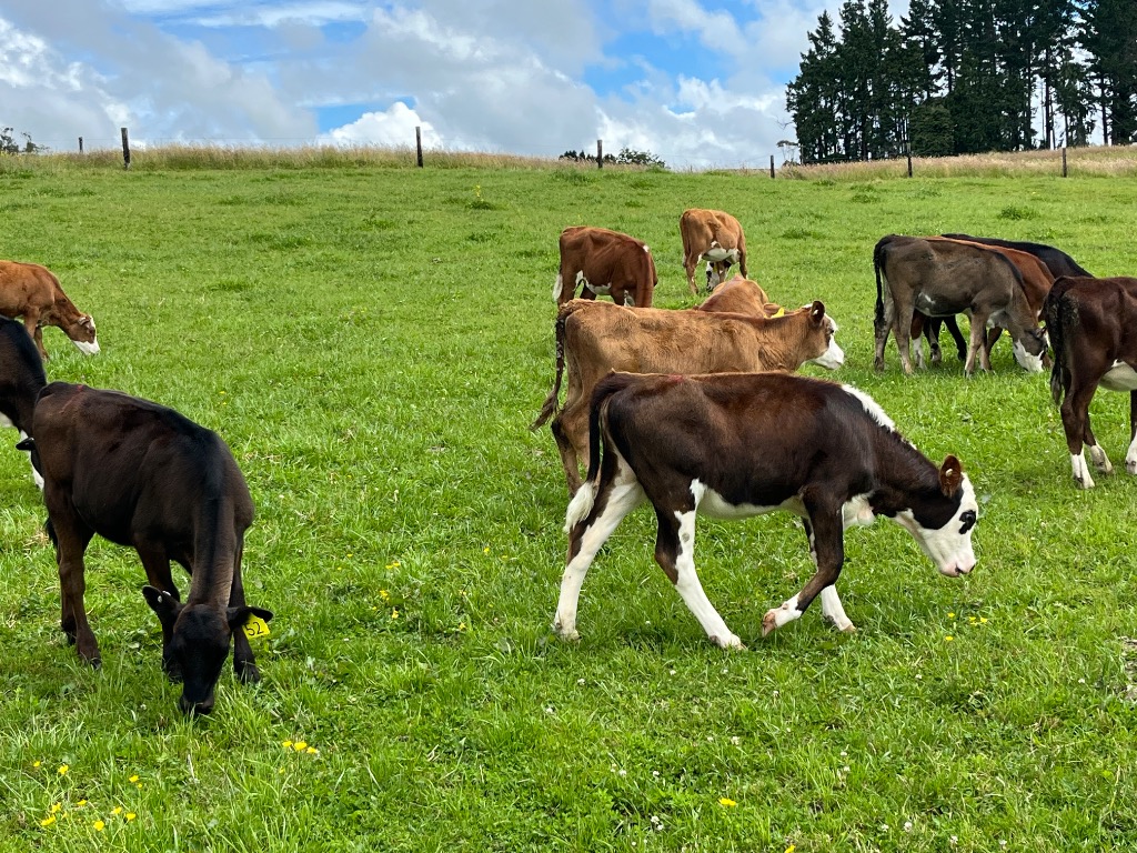 Ag Assist - Lease land wanted