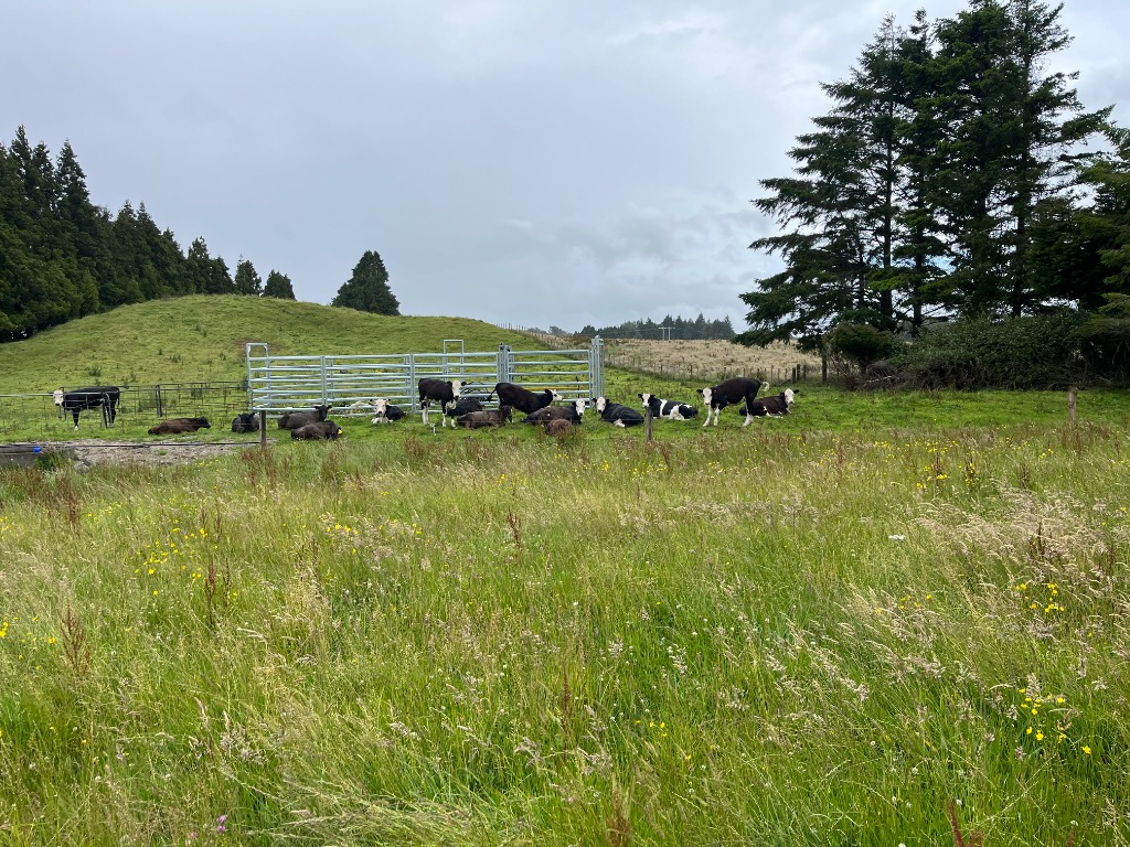 Ag Assist - Lease land wanted