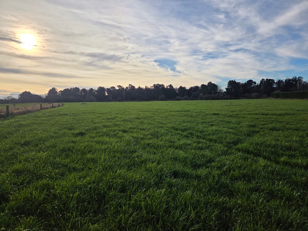 Ag Assist - Dairy Farm Assistant – Grow Your Career in Dairy