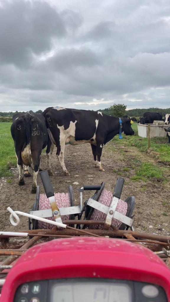 Ag Assist - Brian Gormley